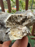 Single Herkimer Diamond and Dolomite Specimen