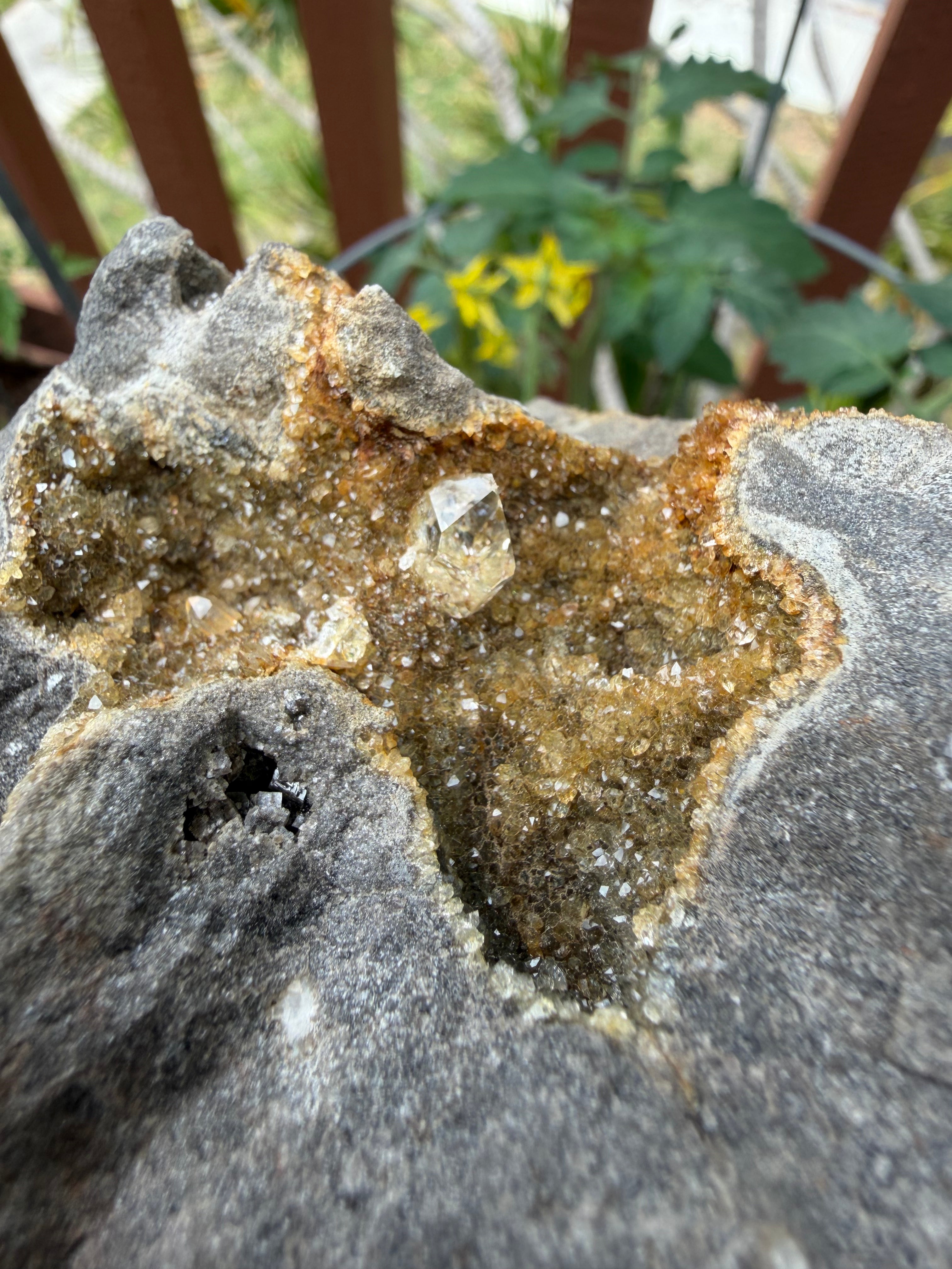 Herkimer Diamond and Iron-Stained Druse Specimen