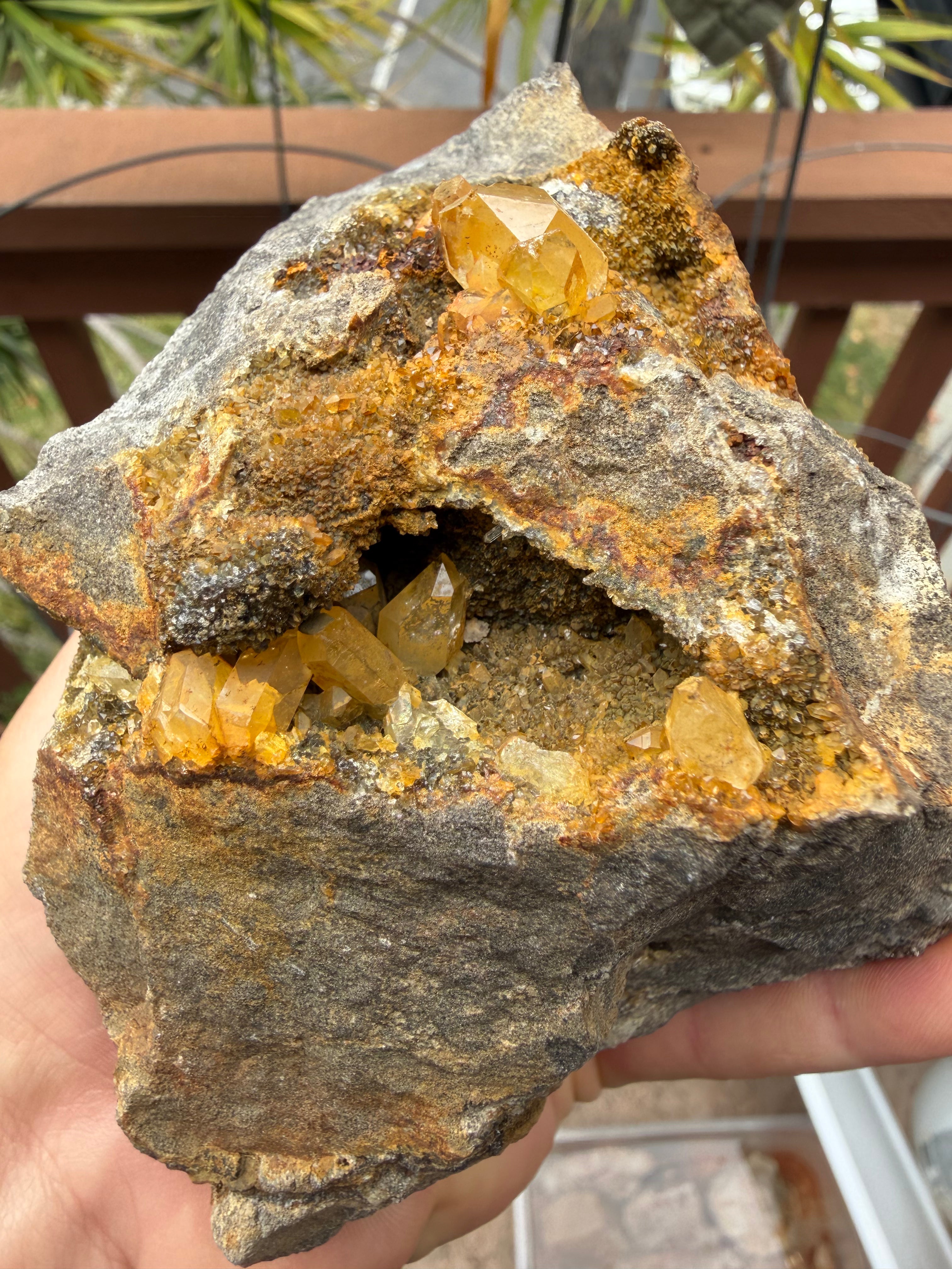 Large Golden Healer Cluster Herkimer Diamond Specimen