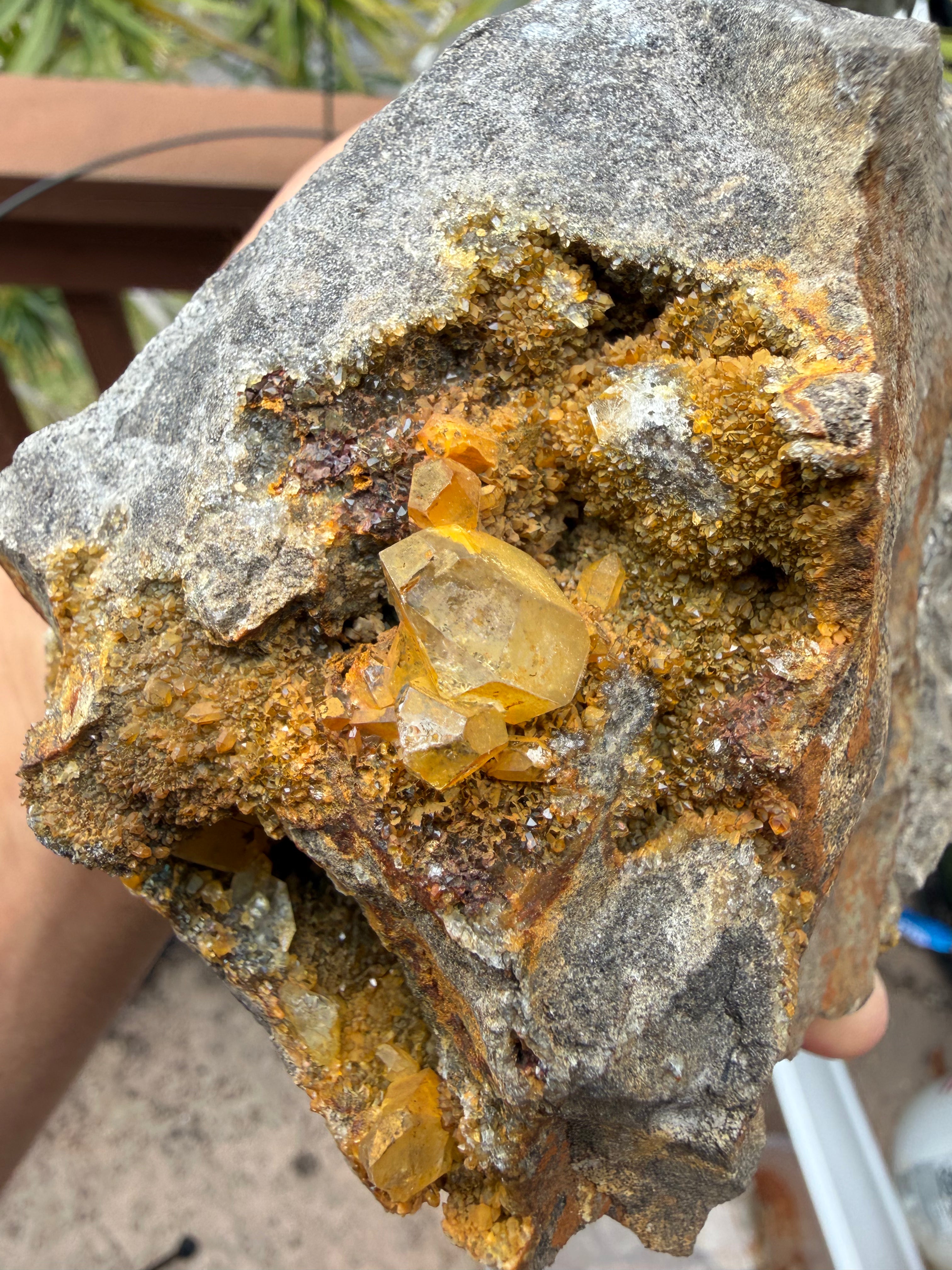 Large Golden Healer Cluster Herkimer Diamond Specimen