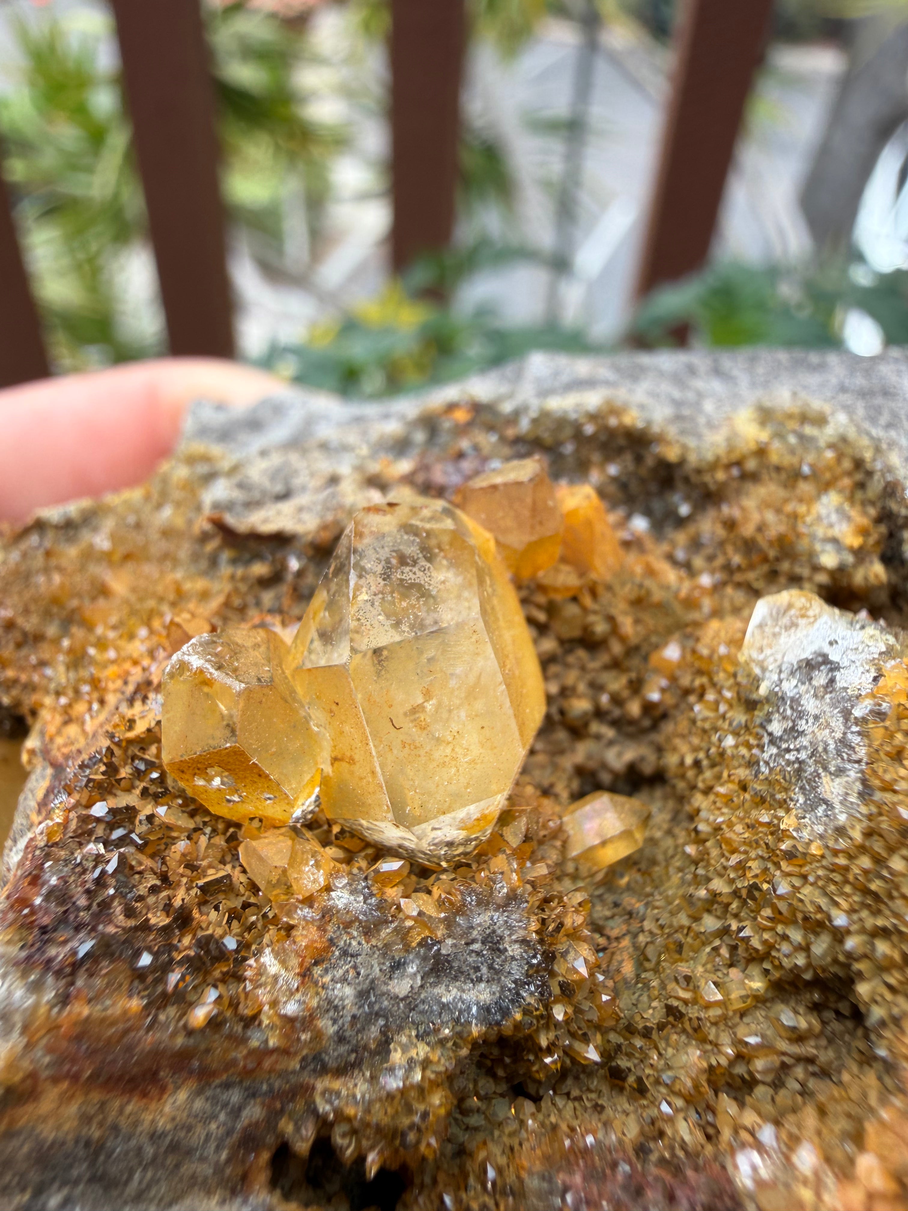 Large Golden Healer Cluster Herkimer Diamond Specimen