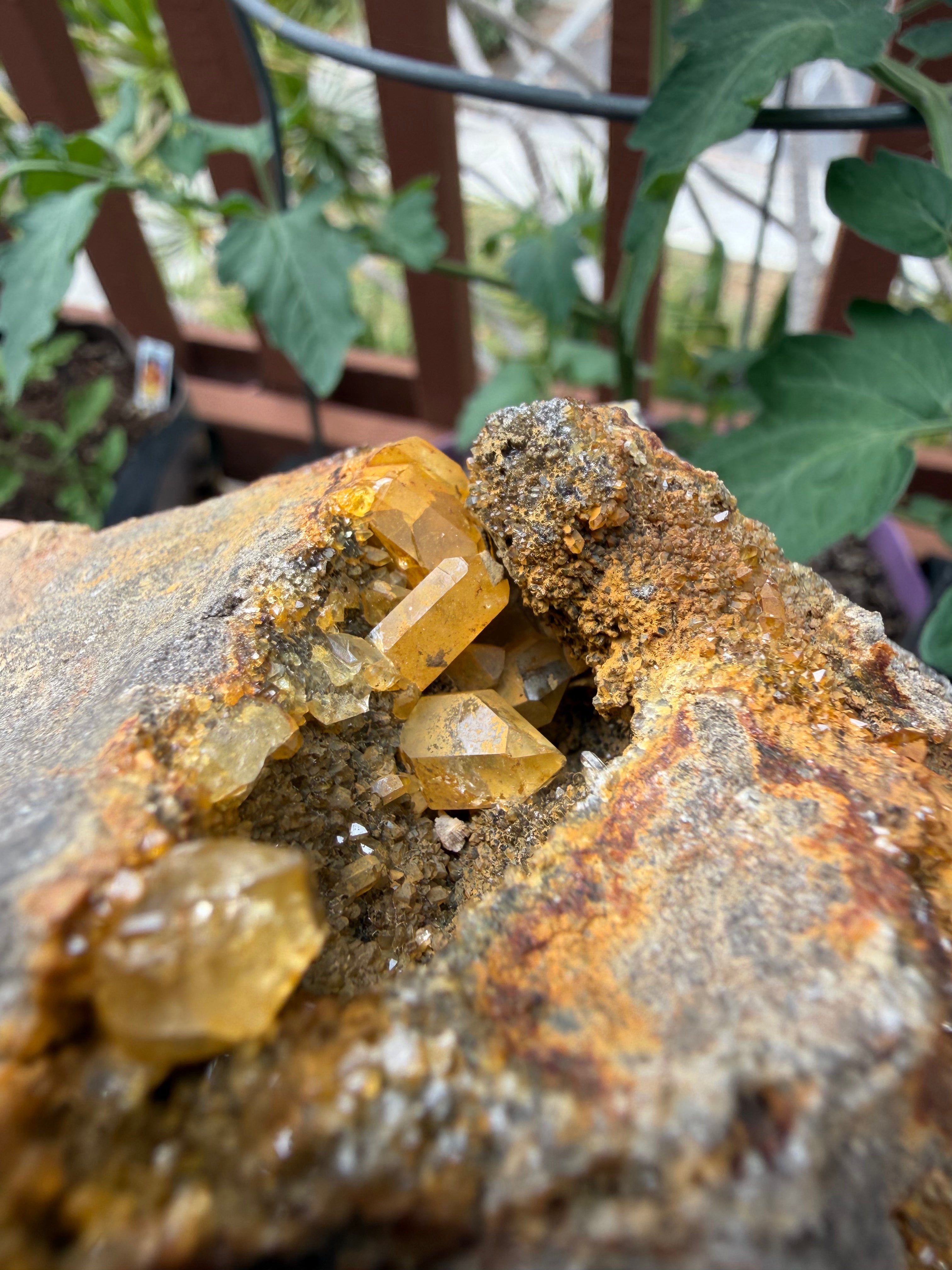 Large Golden Healer Cluster Herkimer Diamond Specimen