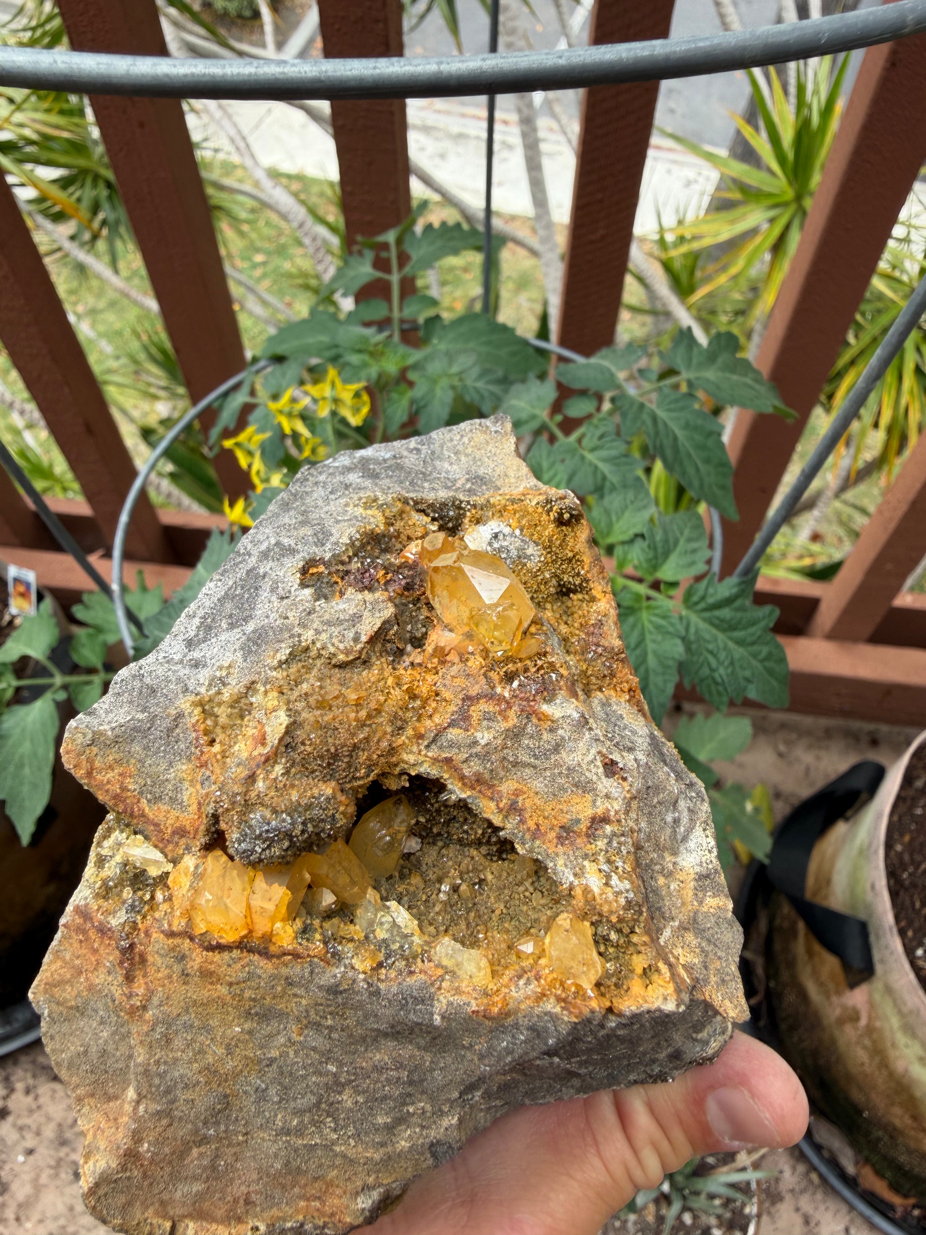 Large Golden Healer Cluster Herkimer Diamond Specimen