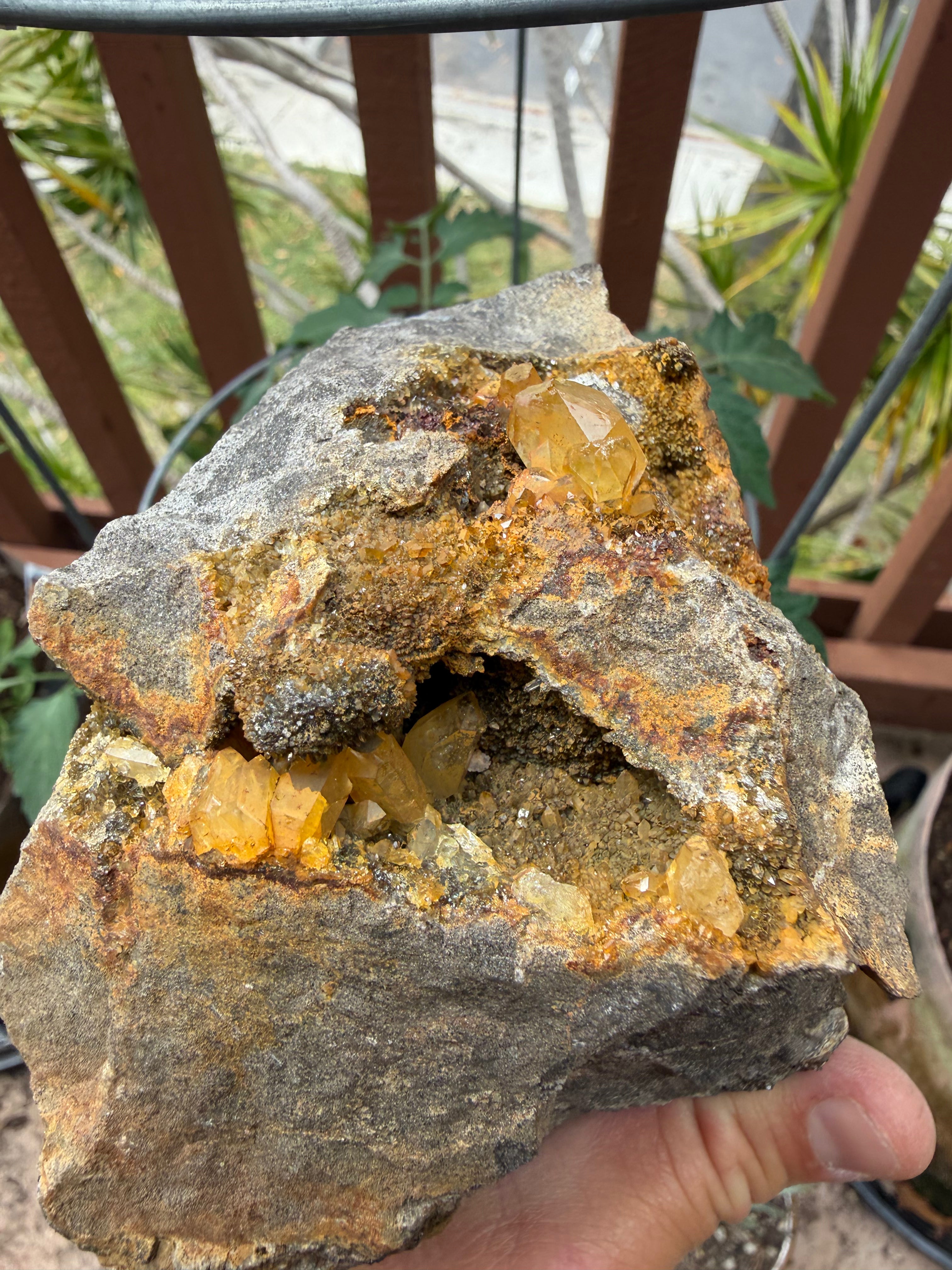 Large Golden Healer Cluster Herkimer Diamond Specimen
