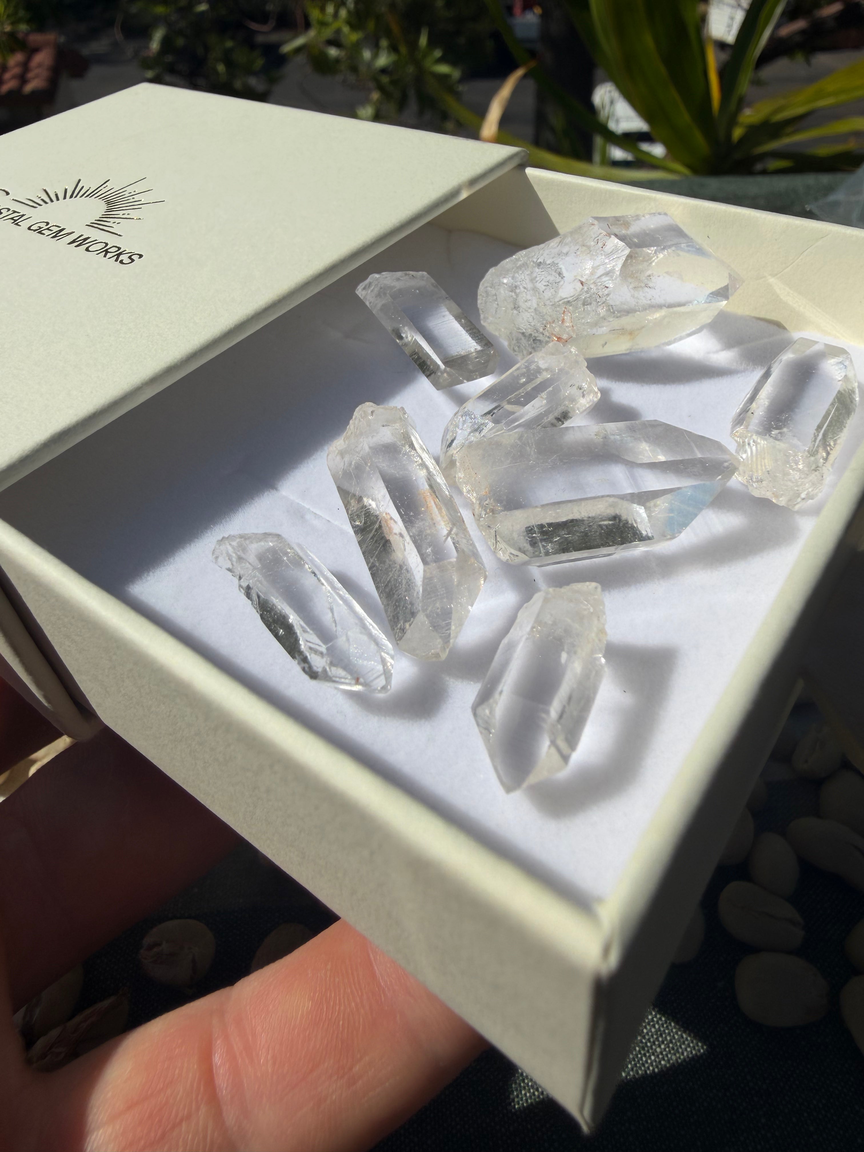 Arkansas Quartz Points - Parcel 2