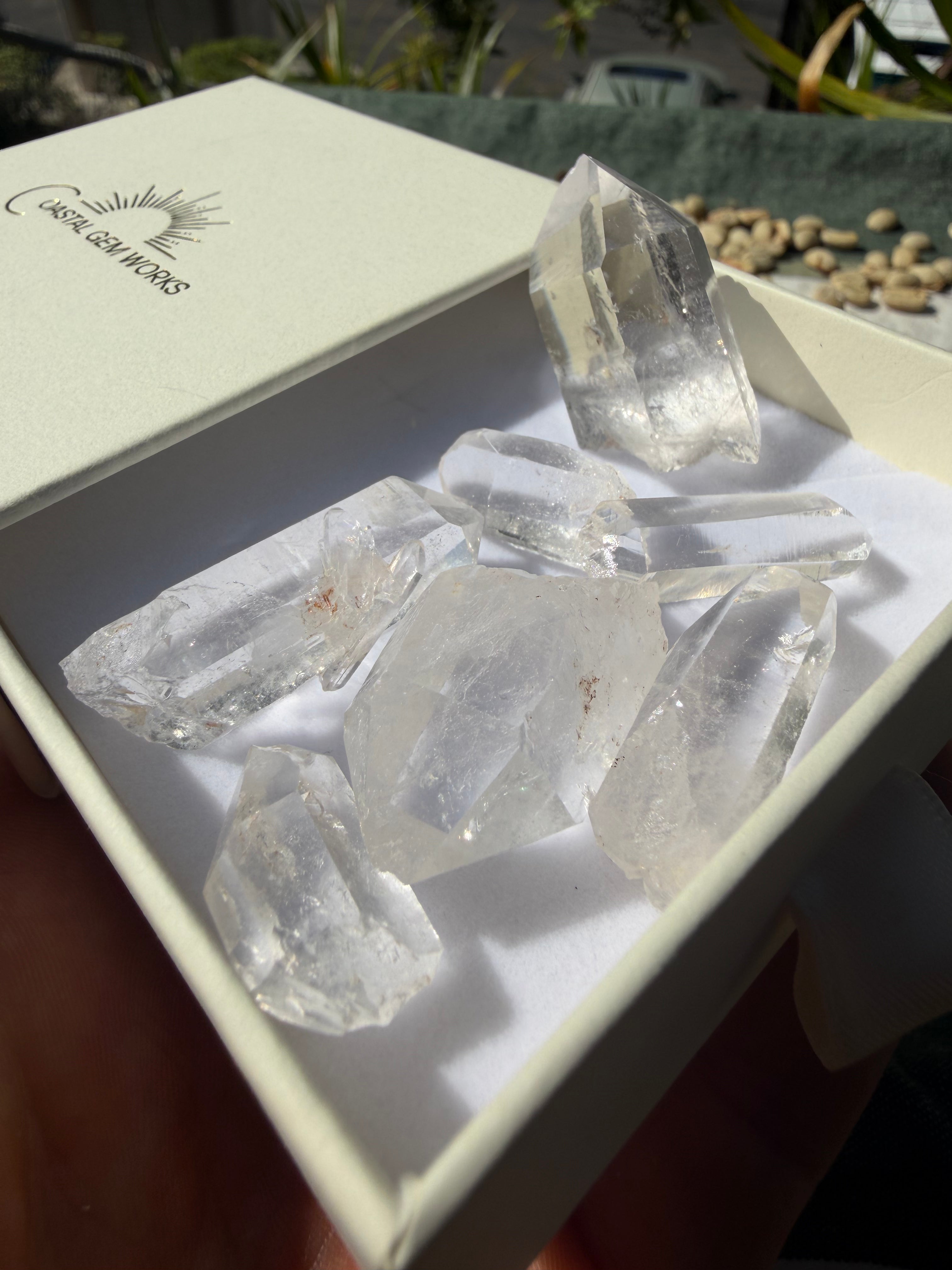 Rehealed Arkansas Crystal Points