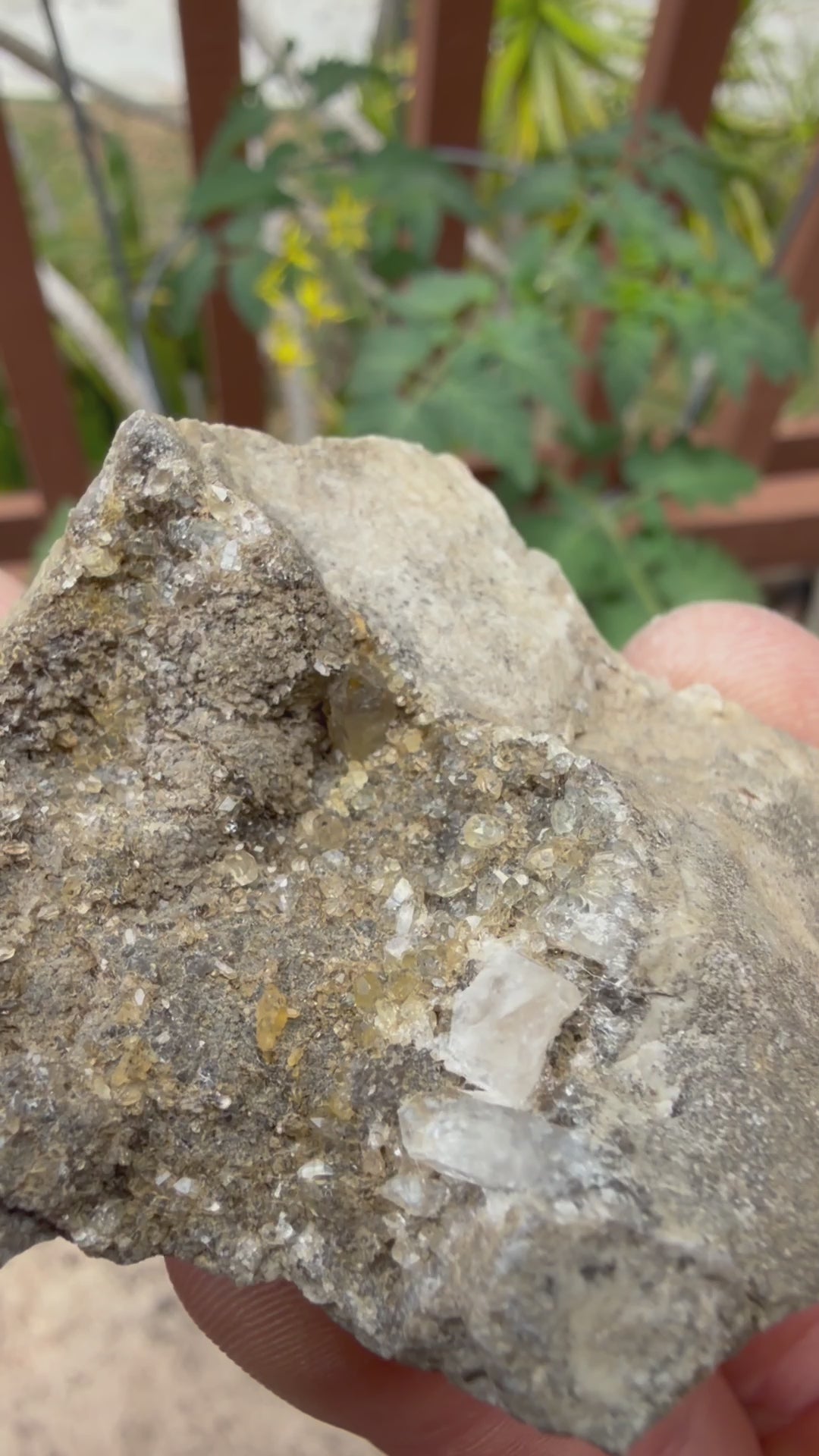 Druse Pocket Herkimer Diamond Specimen