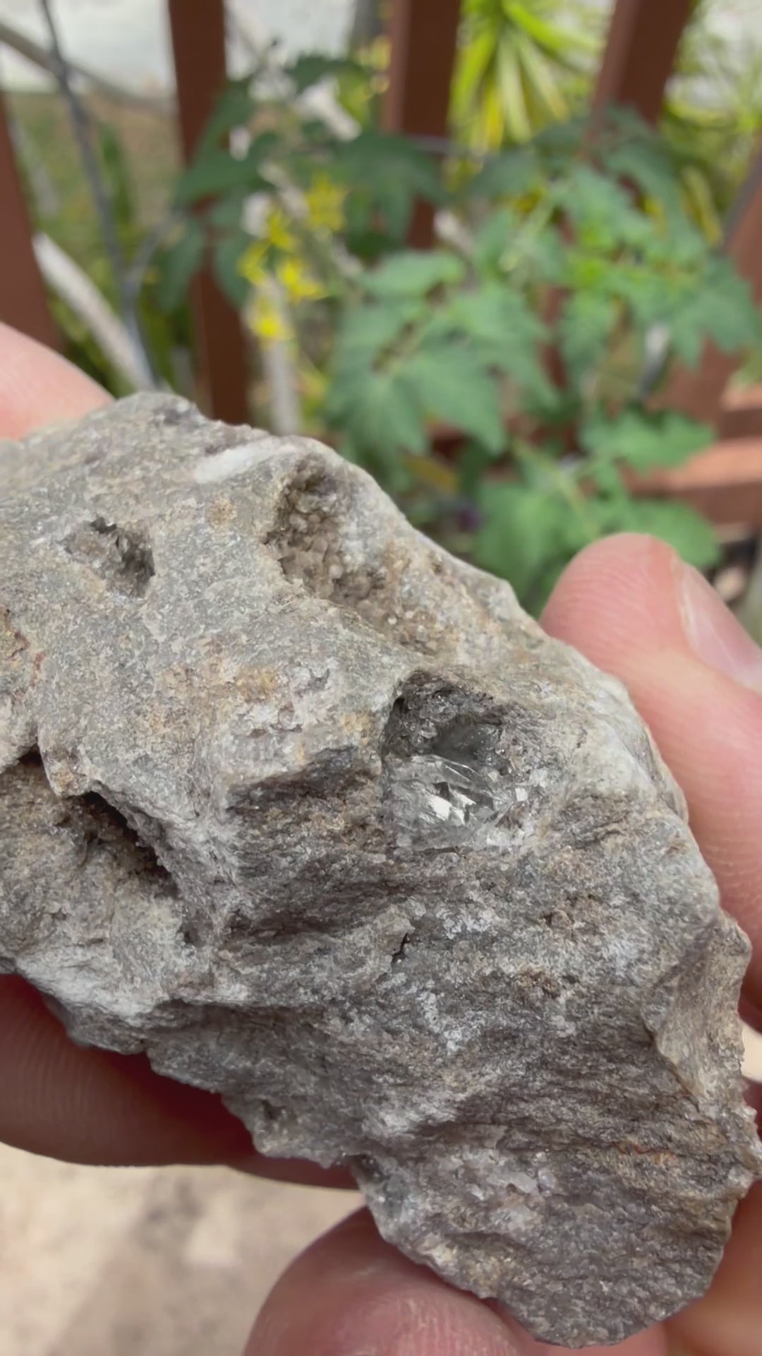 Small Herkimer Diamond Specimen