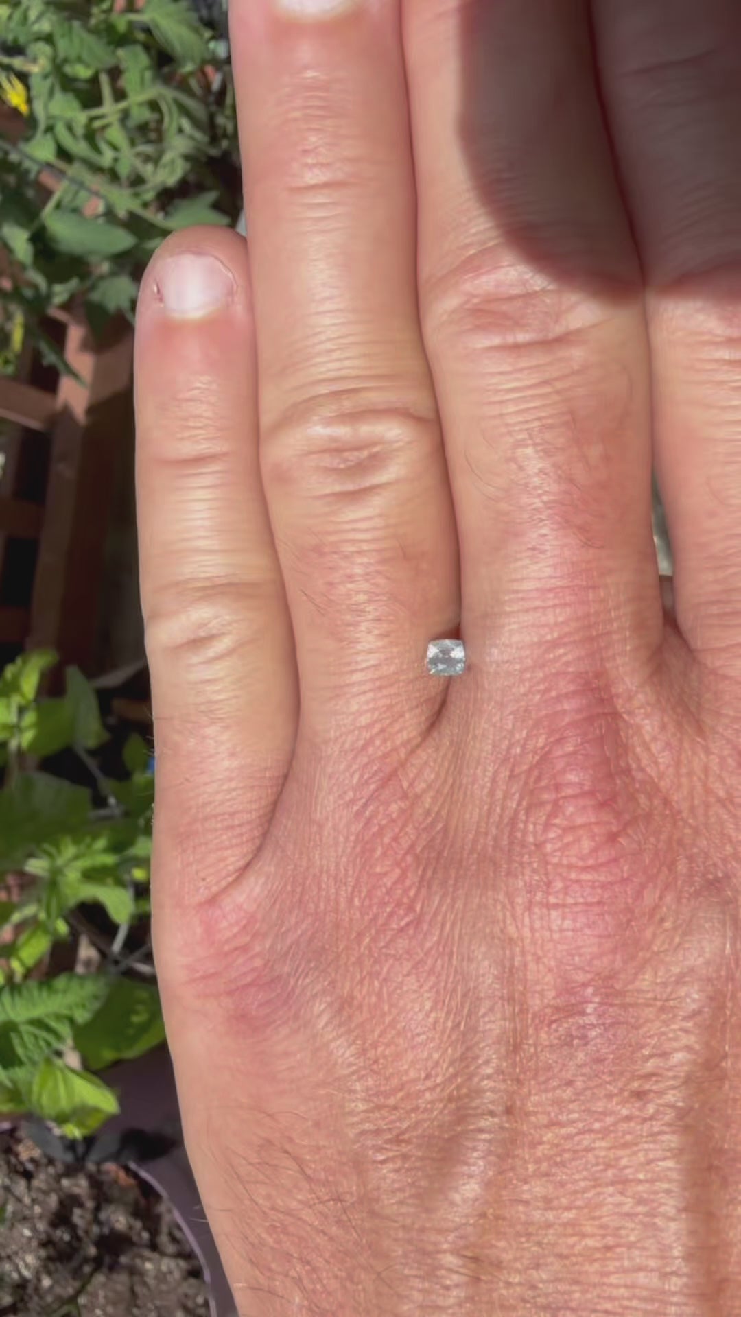 0.35ct Ice Blue Montana Sapphire